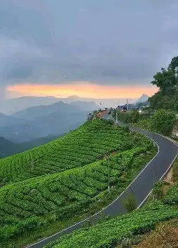 Explore Northeast India's Beauty with Kalita Tours and Travels