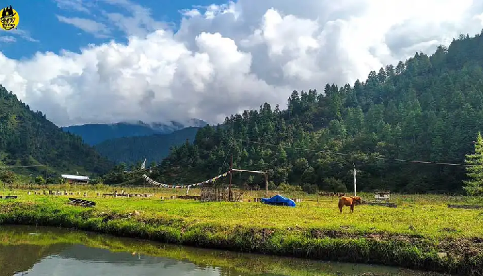 Explore Assam Arunachal Pradesh Tour