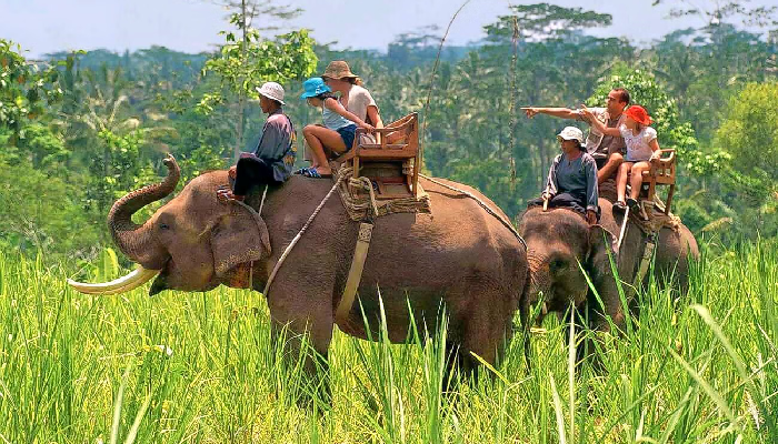 Explore North East India Tour